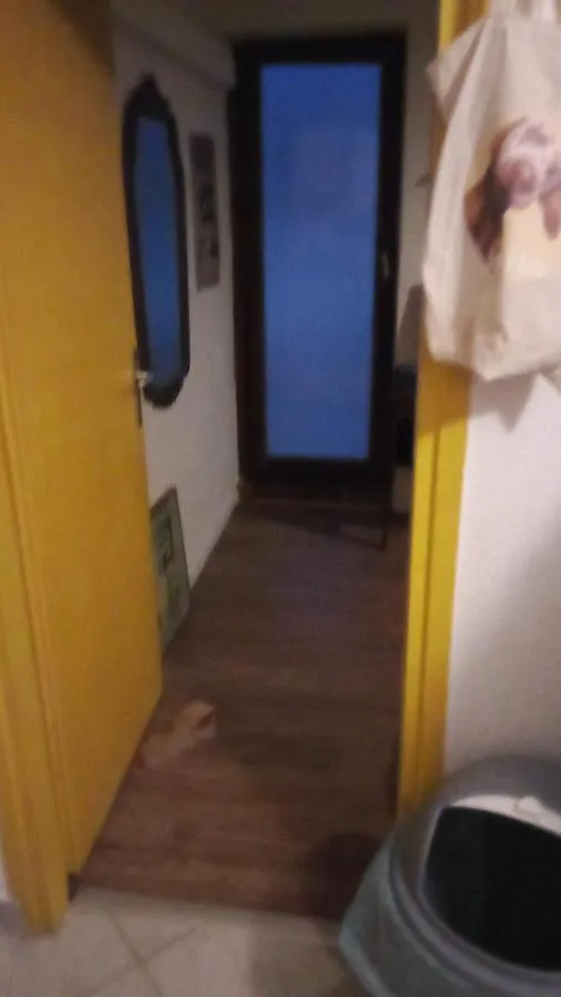 Apartment Double Room With Shared Bathroom Split